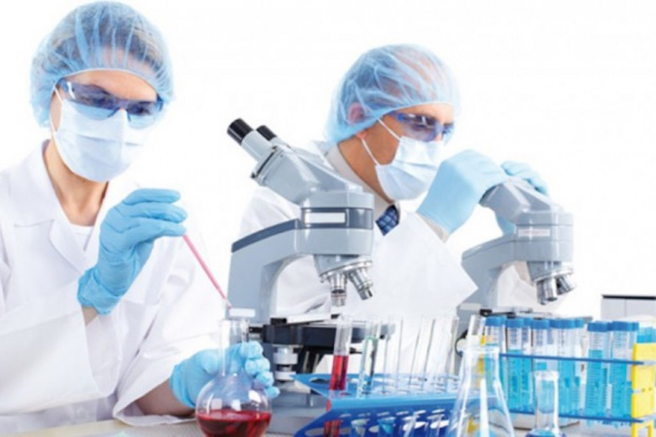 Działanie leukocytu Th17 może sprzyjać rozwojowi chorób autoimmunologicznych. Fot. Archiwum Działanie leukocytu Th17 może sprzyjać rozwojowi chorób autoimmunologicznych