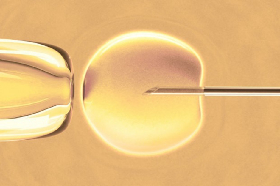 Fot. Fotolia "Nasz Bocian" skarży MZ do WSA za brak danych o skuteczności in vitro
