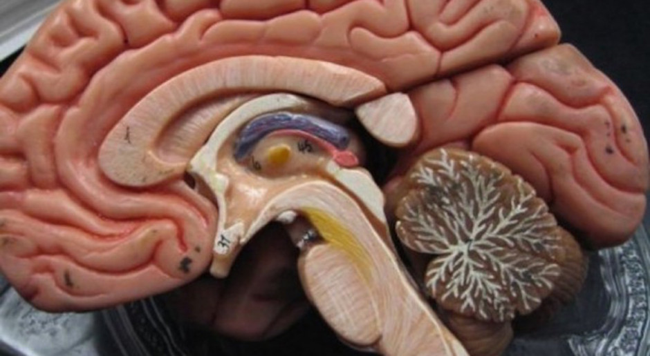 Olsztyn: poprawia się stan chorych po wszczepieniu stymulatorów mózgu