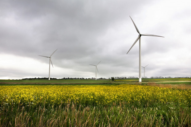 Osoby mieszkające w pobliżu farm wiatrowych skarżą się na problemy ze zdrowiem Fot. PTWP Badania: odgłosy turbin wiatrowych są szkodliwe dla zdrowia?