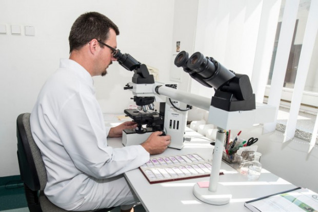 Patomorfologia jest niedoinwestowana, a specjaliści przeciążeni pracą. Fot. Archiwum Patomorfologia jest niedoinwestowana, a specjaliści nadmiernie obciążeni