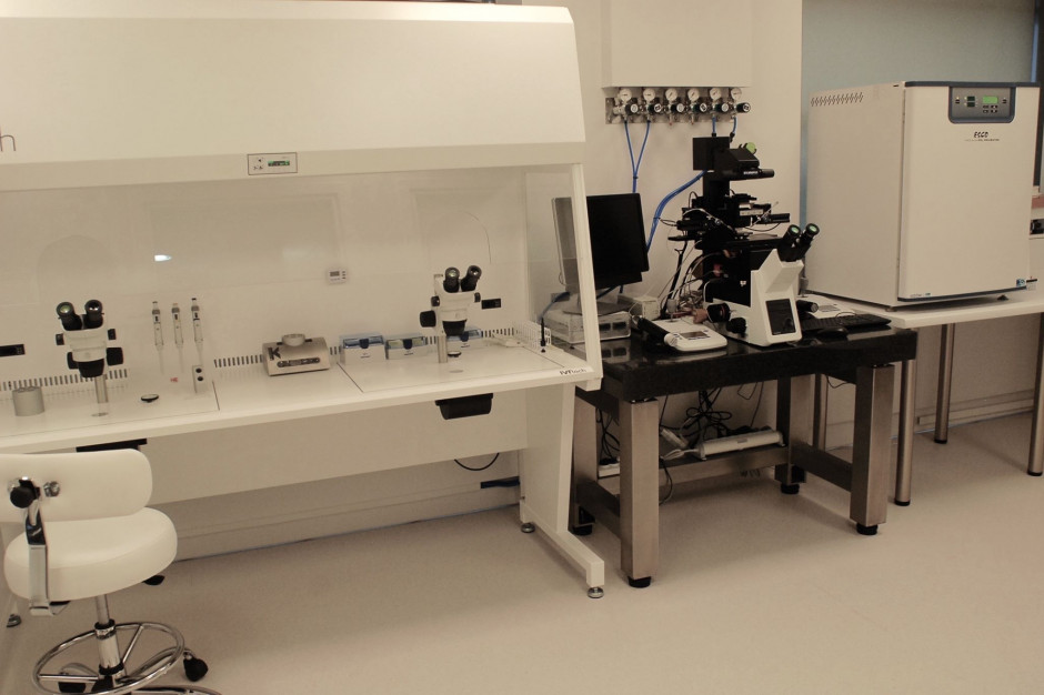 Decyzja MZ jest równoznaczna z zezwoleniem na wykonywanie zabiegów inseminacji oraz in vitro w FertiMedica. Fot. Materiały prasowe Pierwsze kliniki leczenia niepłodności otrzymują zgodę MZ