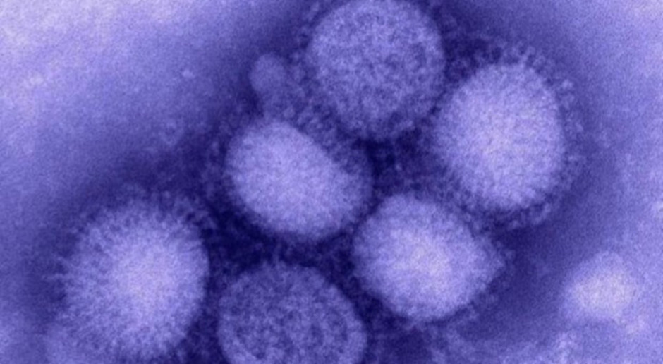 Czy będzie pandemia grypy? Zdaniem WHO to pewne