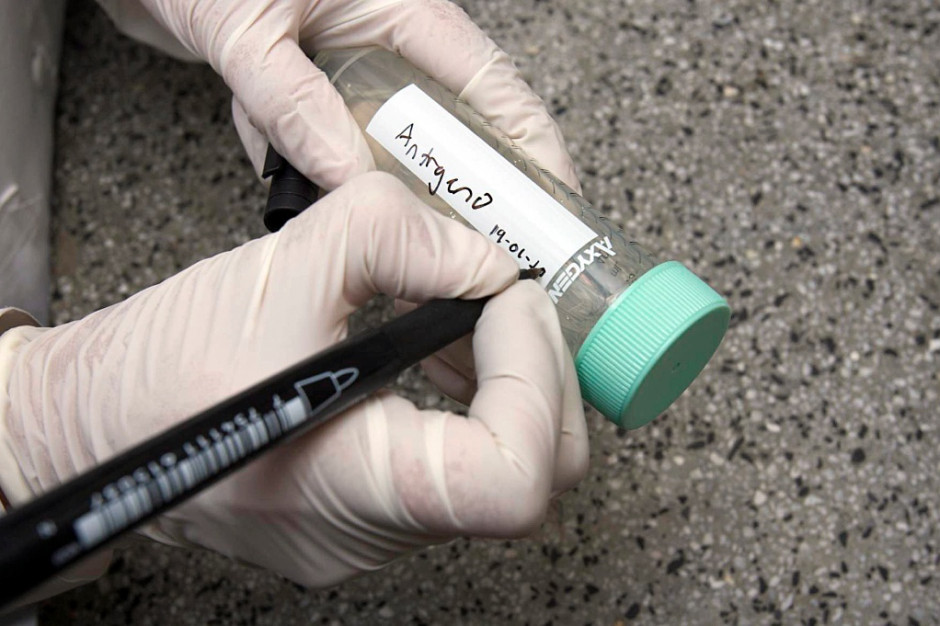 Cancer Institute of ColumbiaFlickr(CC BY-ND 2.0) Eksperci: wkrótce immunoterapia może być proponowana w leczeniu co drugiego nowotworu