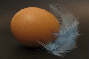 Jedno jajko to około 80 kalorii. Zdrowsze te ugotowane "na miękko"