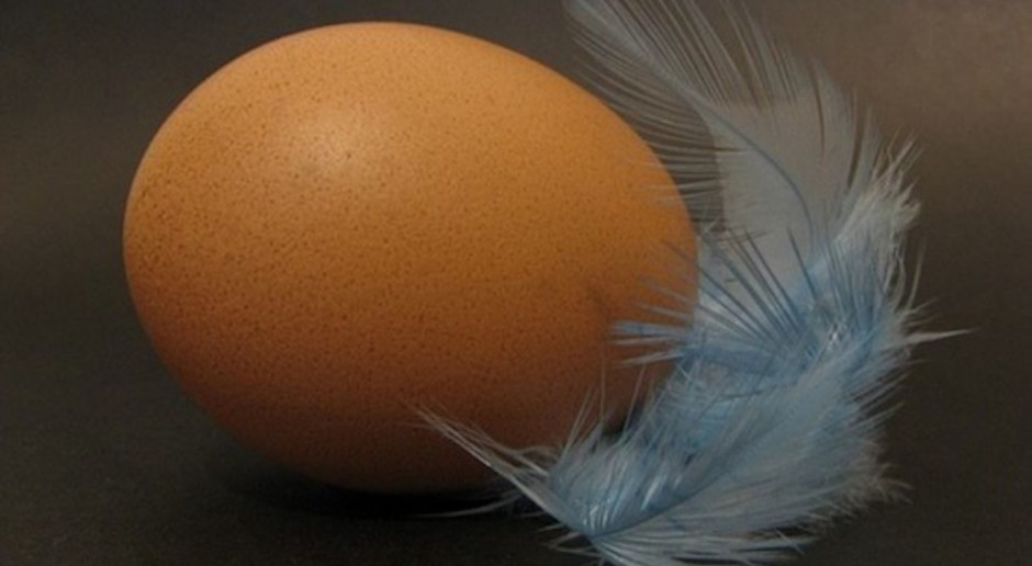 Belgia: minister chce, by winni skandalu ze skażonymi jajami stanęli przed sądem