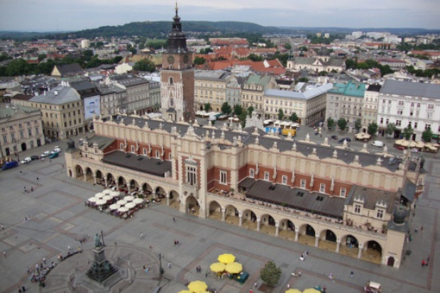 W Krakowie nie będzie programu finansowania in vitro. Fot. Wikipedia W Krakowie nie będzie programu finansowania in vitro