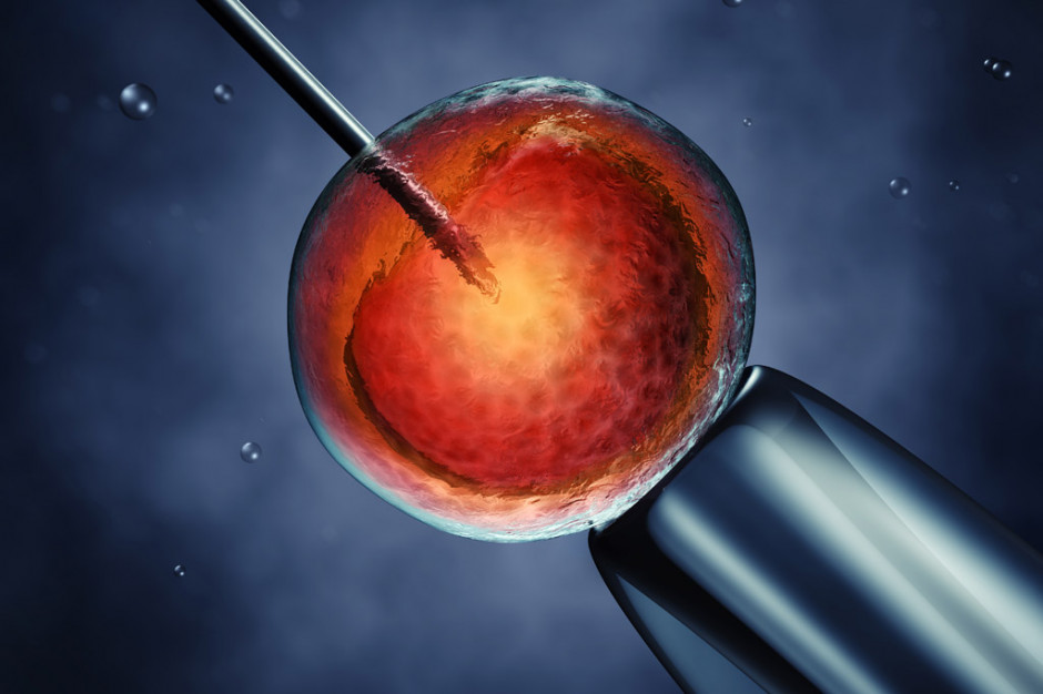 Czy mieszkańcy regionu rzeczywiście mogą na to liczyć? Fot. Shutterstock (zdjęcie ilustracyjne) Małopolskie: in vitro finansowane z budżetu województwa? Szanse są małe