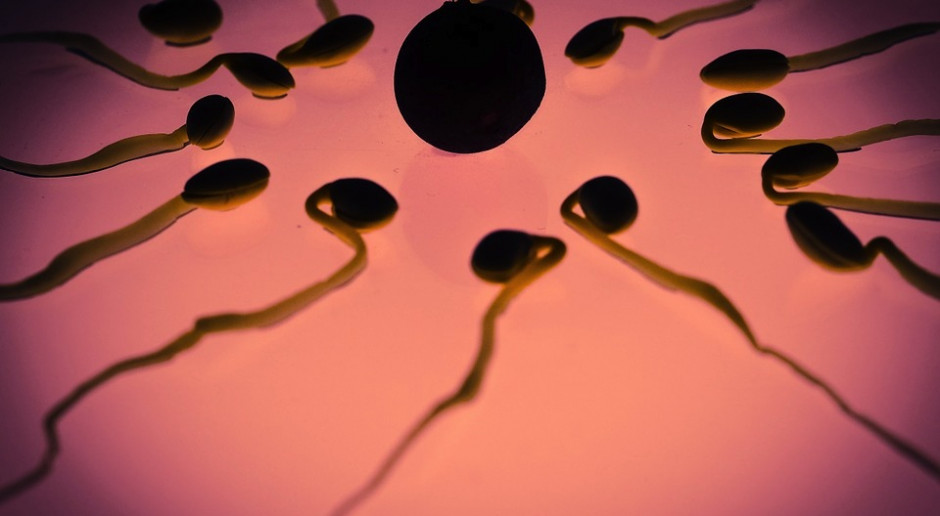 Wielokrotne poronienia: przyczyną mogą być plemniki z uszkodzonym DNA