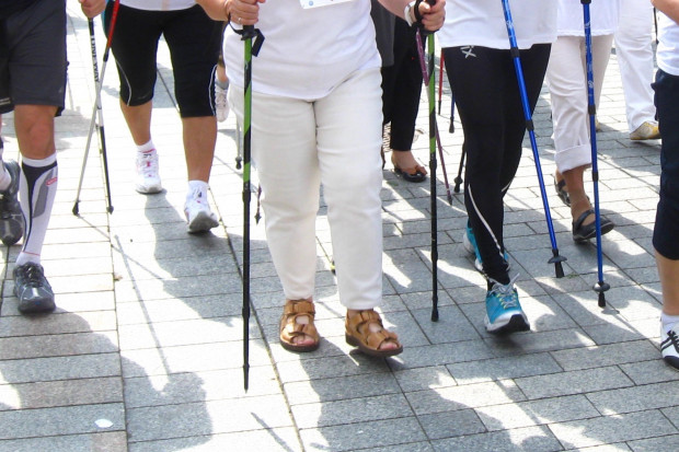 W nordic walking, przy zachowaniu właściwej techniki chodu, obciążenie stawów jest o 30 proc. mniejsze w porównaniu z joggingiem. Fot. archiwum Nordic walking - ta forma ruchu dla starszych osób lepsza niż jogging