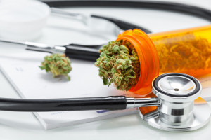 USA: medyczna marihuana najczęściej jest stosowana na przewlekły ból