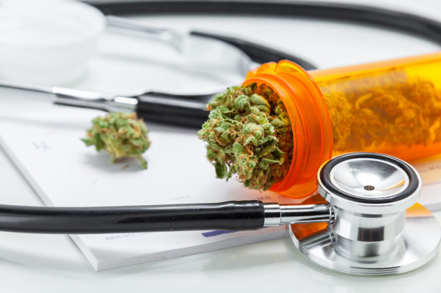 Prawo legalizujące apteczną sprzedaż i stosowanie medycznej marihuany pozostanie martwe? Fot. Shutterstock Prawo jest, ale medycznej marihuany jak nie było, tak nie ma
