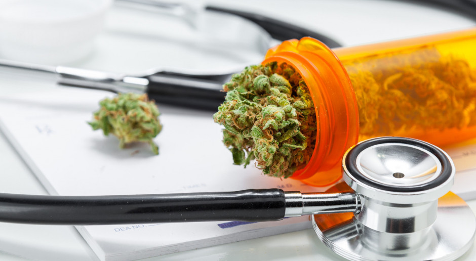 USA: medyczna marihuana najczęściej jest stosowana na przewlekły ból