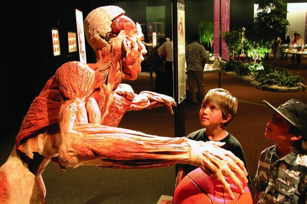 Jak podejrzewają lekarze z DAFOH, ciała to "przypuszczalnie chińscy skazańcy" Fot. strona internetowa wystawy Body Worlds Wlk. Brytania: lekarze mają wątpliwości, skąd pochodzą ciała na wystawie von Hagensa