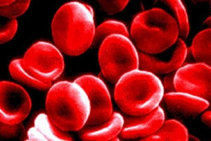 Powstały syntetyczne czerwone krwinki. Mogą transportować leki, wykrywać toksyny