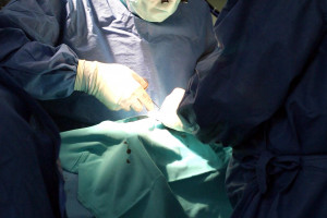 Śląskie: pierwszy w Polsce jednoczesny przeszczep wątroby i obu płuc