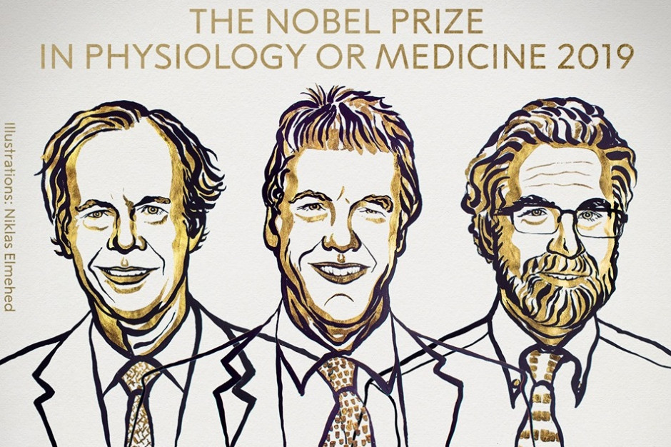 William G. Kaelin Jr, Sir Peter J. Ratcliffe, Gregg L. Semenza - laureaci Nagrody Nobla w dziedzinie fizjologii i medycyny. Fot. profil Nobel Prize na Facebook Genetyk dr hab. Wójcicka: badania noblistów dają narzędzia, by opracowywać nowe leki
