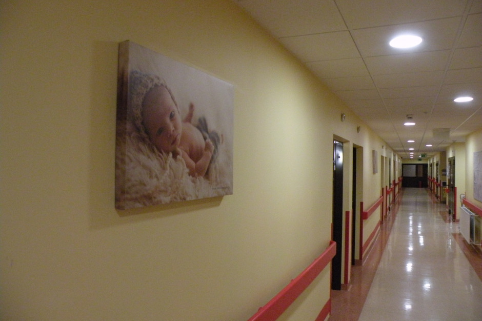 Wielospecjalistyczny Szpital Wojewódzki w Gorzowie Wlkp. Fot. Materiały prasowe Hołownia: stanowczo protestujemy przeciwko centralizacji szpitali