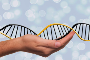 Genetycy i patolodzy krytykują tezy prof. Zielińskiego. "RNA nie zostaje przepisany na DNA"