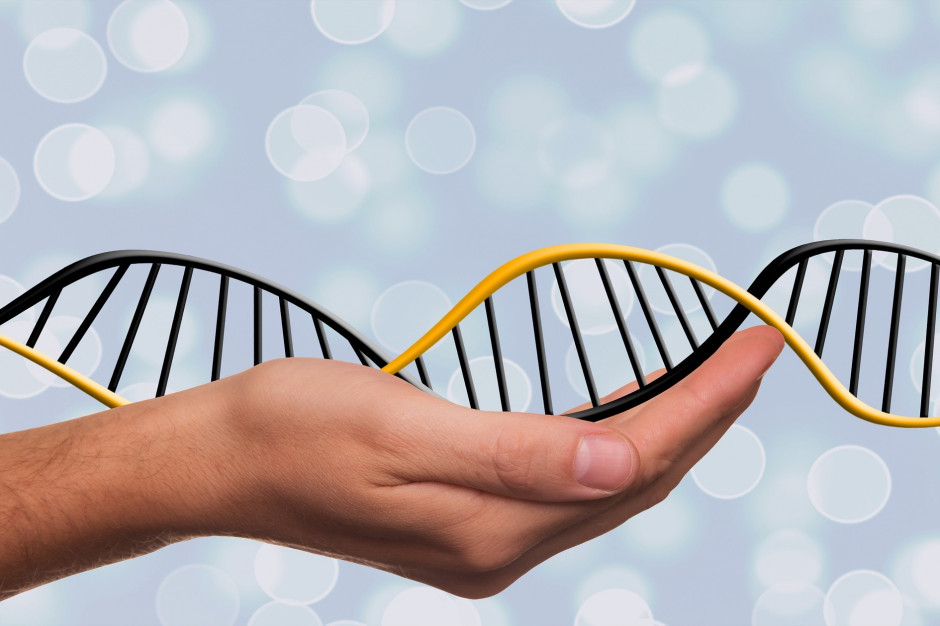 Członkowie Komitetu wskazują, że jest nieprawdą, iż RNA podawany w szczepionce przeciw COVID-19 zostaje przepisany na DNA Fot. Fot. Pixabay/Gerd Altmann (zdjęcie ilustracyjne) Genetycy i patolodzy krytykują tezy prof. Zielińskiego. "RNA nie zostaje przepisany na DNA"