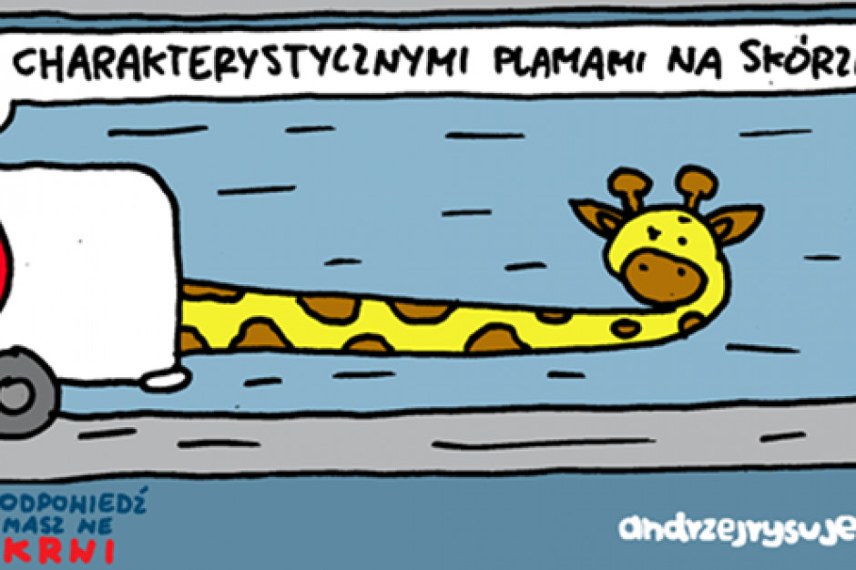 U chorych na mastocytozę pojawiają się charakterystyczne plamy na skórze, przypominające umaszczenie żyrafy, która stała się symbolem choroby. Fot. Materiały prasowe 20 października to Dzień Mastocytozy: zmiany skórne u chorych przypominają umaszczenie żyrafy