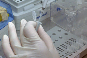 Naukowcy UW zbadali substancje, które mogą hamować koronawirusa