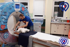 Radiolog z Matki Polki zrobił misiowi i kurczakowi RTG, rezonans i tomografię