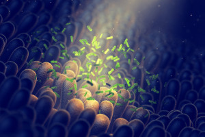 Nieprawidłowy rozwój mikrobiomu jelit może przyczyniać się do rozwoju chorób neurodegeneracyjnych