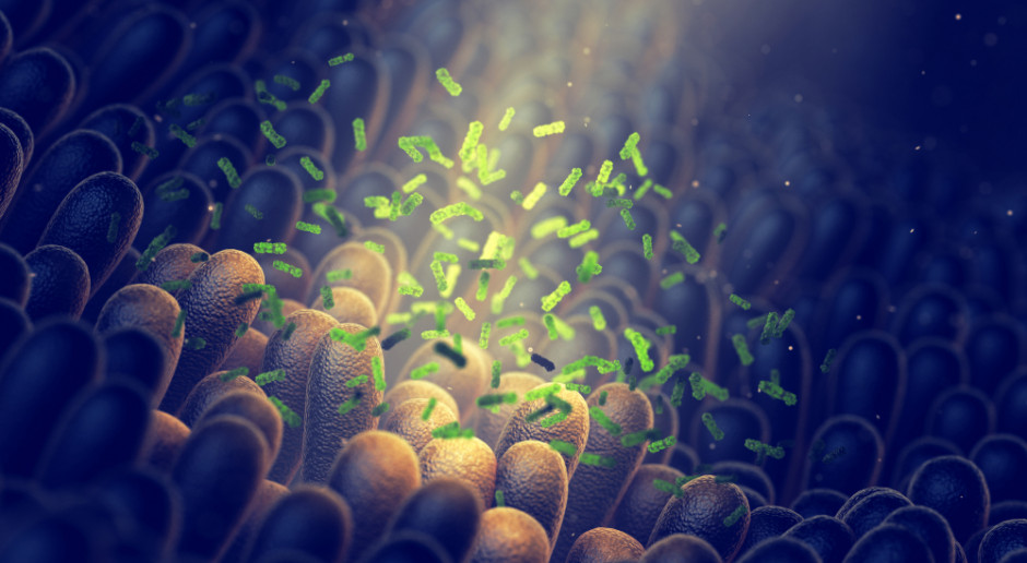 Nieprawidłowości w mikrobiomie to potencjalny czynnik ryzyka chorób neurodegeneracyjnych,.Fot. Shutterstock Zaburzenia mikroflory jelitowej przyczyną Alzheimera? Nowe badania