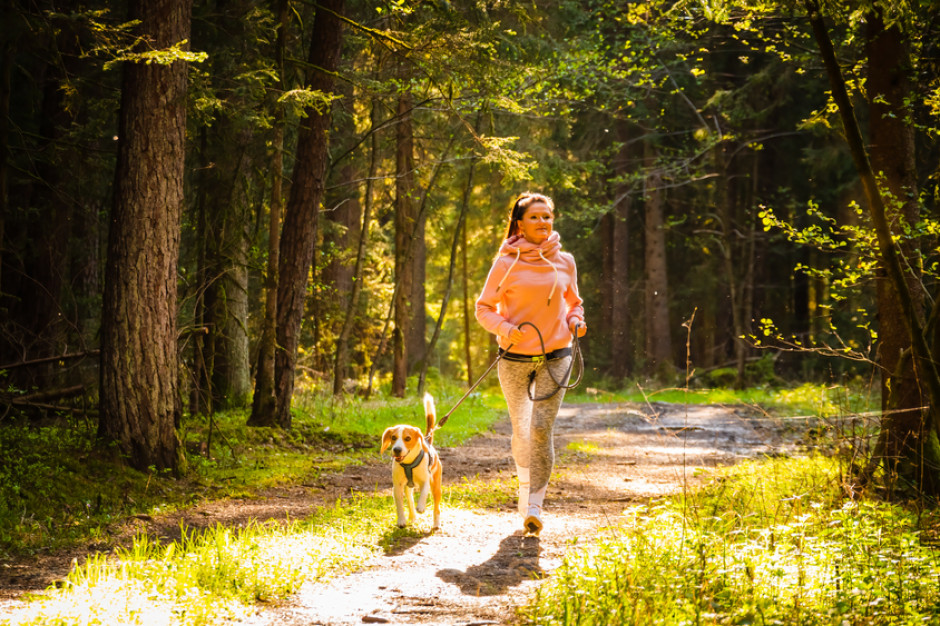 Dwa drzewa średniej wielkości zaspokajają roczne zapotrzebowanie jednej osoby na tlen. Fot. Shutterstock LUX MED posadzi ponad 300 tys. drzew w całej Polsce