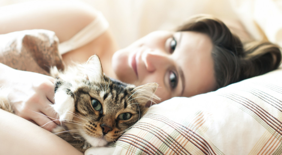 Na zarażenie COVID-19 podatne są koty, które śpią w łóżku z właścicielem. Naukowcy ogłosili wyniki badań
