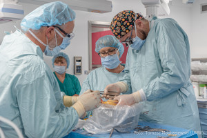 22 przeszczepy w pół roku w Uniwersyteckim Szpitalu Klinicznym we Wrocławiu