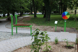 Szpital pediatryczny w Bielsku-Białej jest nie do poznania, a obok powstał park sensoryczny