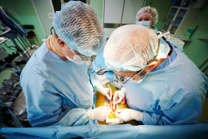 Narodowy Program Rozwoju Medycyny Transplantacyjnej będzie wydłużony o rok