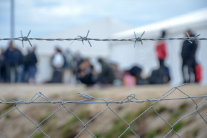 Mazowieckie. Czterech kolejnych afgańskich uchodźców zatruło się grzybami
