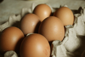 Salmonella na skorupkach jaj, które trafiły do obrotu. GIS ostrzega
