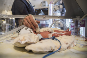 Prof. Gulczyńska: - Rozwój neonatologii pozwala na ratowanie dzieci urodzonych w 24. tygodniu ciąży