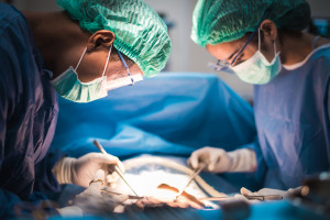 Przełom w transplantologii? Naukowcy zrobili krok w kierunku uniwersalnych narządów do przeszczepu