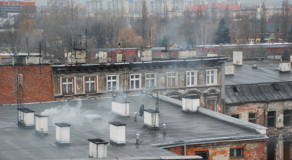 Wdychanie brudnego powietrza szkodzi naszemu mózgowi. Fot. Shutterstock Wdychanie toksycznych cząstek z brudnego powietrza: wędrują prosto z płuc do mózgu.