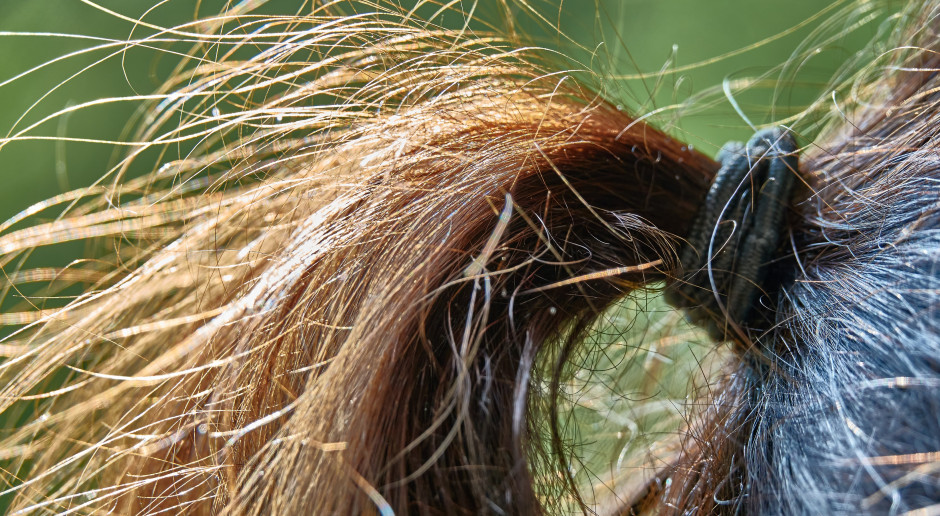 Układ odpornościowy może dbać o włosy