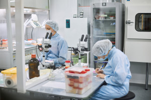 Pracownicy laboratoriów o wynagrodzeniach po Zespole Trójstronnym: dochodzi do patologii