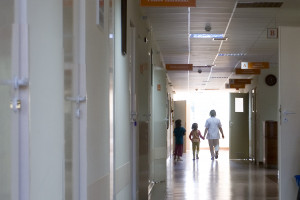 Lekarze rodzinni piszą do ministra zdrowia: nierealny termin wdrożenia zmian w POZ