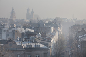Prof. Czarnobilska: smog może uczulać.  Muszę intensyfikować leczenie alergiczne