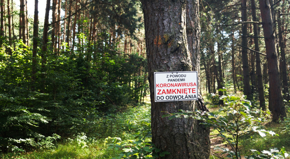 Zamykanie lasów przez COVID. Wiceminister zdrowia: do tej pory się uśmiechamy