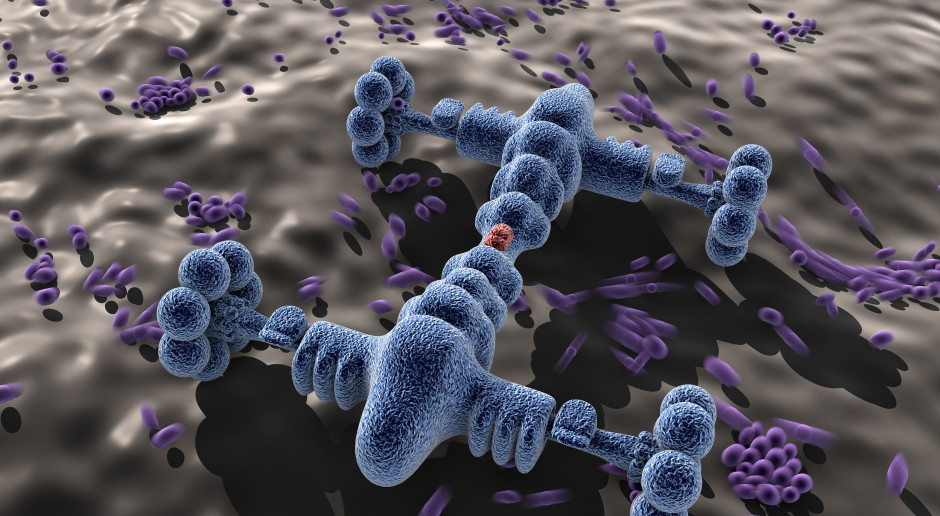 Komórki drożdży będą napędem dla nanorobotów? Fot. AdobeStock Nanoroboty pomogą w leczeniu układu trawiennego