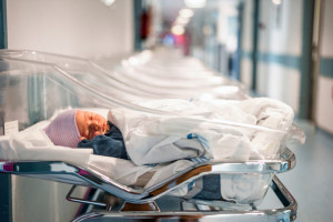 218 dzieci urodziło się dzięki in vitro. Władze Wrocławia podsumowały program dofinansowania