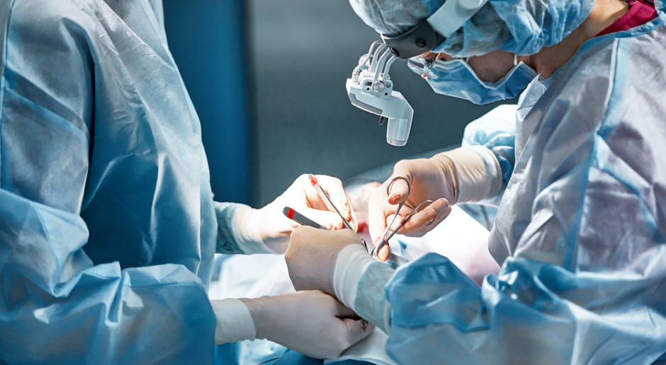 Chirurdzy przeszczepili pacjentowi nerkę świni. Pierwsza taka transplantacja na świecie