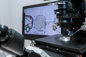 In vitro is no longer a taboo.