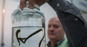 Pseudomedycyna do sądu? Samorząd lekarzy ma dość. Oburza się na rząd, punktuje RPP