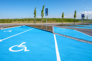 21 świadczeń. Z takim orzeczeniem m.in. karta parkingowa i zasiłek pielęgnacyjny